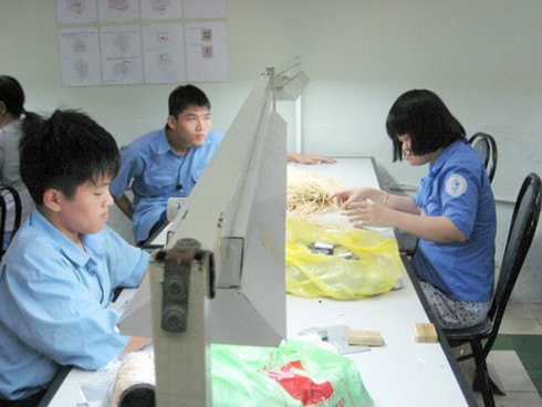 Cần nâng cao hiểu biết của cộng đồng về nghề CTXH - ảnh 1