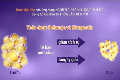 Cẩn thận với thuốc giảm cân nhanh - ảnh 2