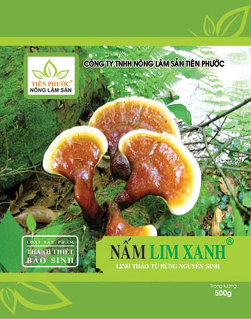 Thoát khỏi ung thư nhờ thảo dược nấm lim xanh? - ảnh 2