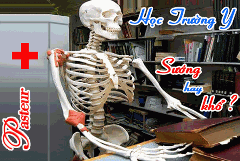 Đổ xô học nghề Y vì việc nhàn lương cao? - ảnh 4