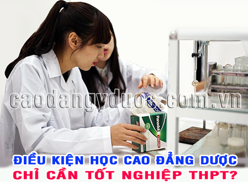 Cao đẳng Dược Hà Nội dành cho tất cả thí sinh tốt nghiệp THPT - ảnh 2
