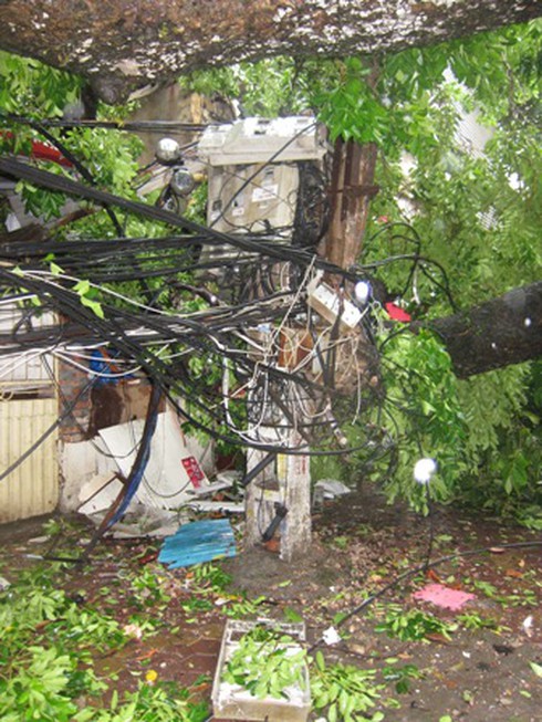 EVN HANOI thông báo về ảnh hưởng của cơn bão số 1 - ảnh 3