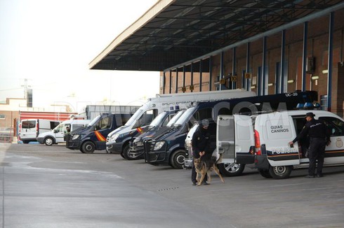 Tây Ban Nha truy quét băng đảng tội phạm Trung Quốc - ảnh 1