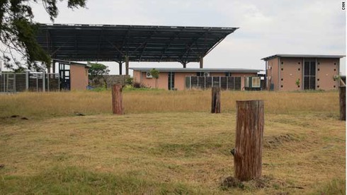Cuộc đời vĩ đại của Nelson Mandela qua ảnh - ảnh 1