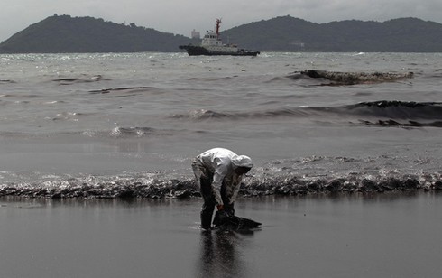 Chùm ảnh vụ tràn dầu nghiêm trọng ở khu du lịch Thái Lan - ảnh 13
