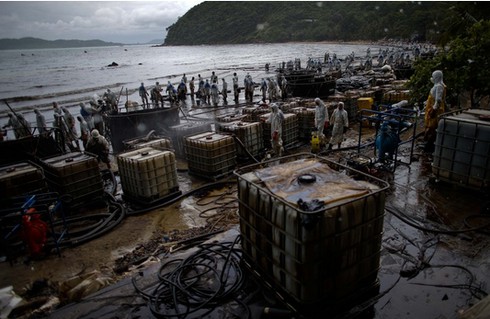 Chùm ảnh vụ tràn dầu nghiêm trọng ở khu du lịch Thái Lan - ảnh 2