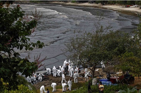 Chùm ảnh vụ tràn dầu nghiêm trọng ở khu du lịch Thái Lan - ảnh 14