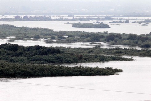 Lũ lớn nhất trong 120 năm qua quét qua Viễn Đông Nga - ảnh 3