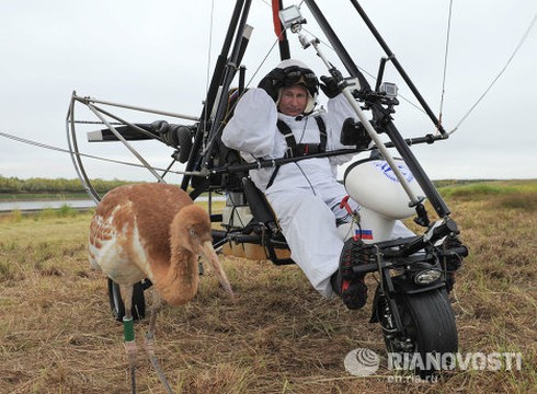 Chùm ảnh đáng yêu của Tổng thống V.Putin với các loài động vật - ảnh 3