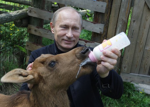 Chùm ảnh đáng yêu của Tổng thống V.Putin với các loài động vật - ảnh 1