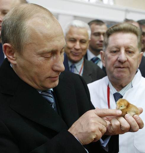 Chùm ảnh đáng yêu của Tổng thống V.Putin với các loài động vật - ảnh 2