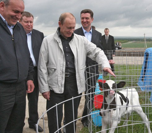 Chùm ảnh đáng yêu của Tổng thống V.Putin với các loài động vật - ảnh 6