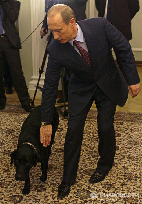 Chùm ảnh đáng yêu của Tổng thống V.Putin với các loài động vật - ảnh 5