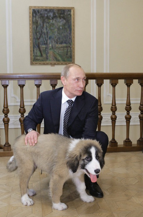 Chùm ảnh đáng yêu của Tổng thống V.Putin với các loài động vật - ảnh 4