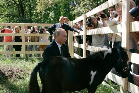 Chùm ảnh đáng yêu của Tổng thống V.Putin với các loài động vật - ảnh 10