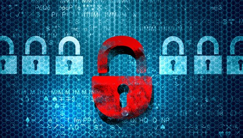 Trang web chính phủ Nga bị tấn công - ảnh 1