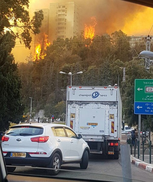 Hỏa hoạn, cháy rừng dữ dội ở khắp nơi: Israel đang bị tấn công? - ảnh 2