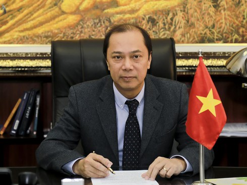 Nhìn lại một năm hình thành cộng đồng ASEAN và đóng góp của Việt Nam - ảnh 1