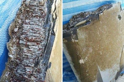 Tin cuối ngày: Right Sector lên kịch bản làm loạn Odessa - ảnh 1