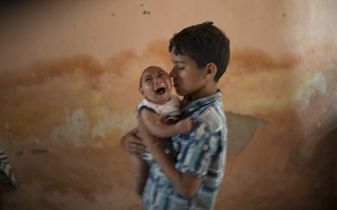 Những điều chưa biết về virus Zika - ảnh 2