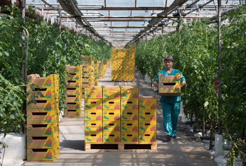 Lệnh cấm vận phương Tây đã giúp Nga giàu lên ra sao? - ảnh 2