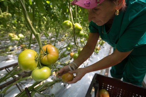 Lệnh cấm vận phương Tây đã giúp Nga giàu lên ra sao? - ảnh 3