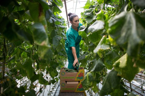 Lệnh cấm vận phương Tây đã giúp Nga giàu lên ra sao? - ảnh 5