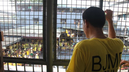 Philippines: Hỗn loạn, lo âu, run sợ và bất an vì chiến dịch ma túy - ảnh 1