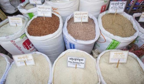 Campuchia hồ hởi đón Tập Cận Bình sang thăm - ảnh 1