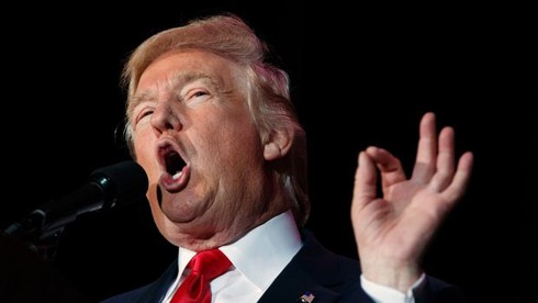 2016: Năm của Syria, Donald Trump và phong trào ly khai khắp thế giới - ảnh 2