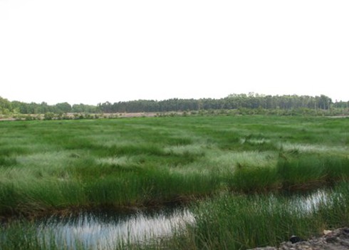 HĐND TP.HCM điểm mặt các dự án “treo” triền miên - ảnh 2