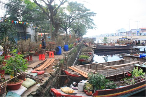 TP.HCM: Dời chợ hoa Tết ra ngoại thành - ảnh 1