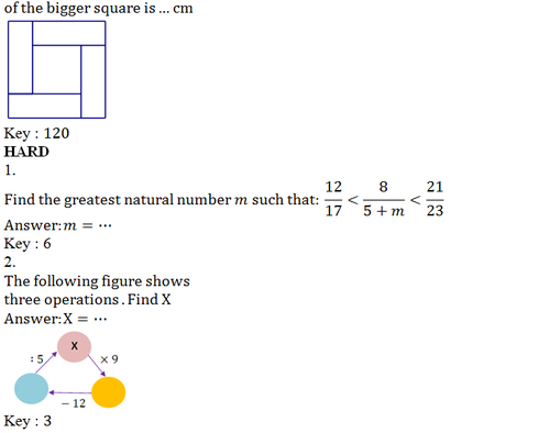 Đề thi và đáp án ViOlympic Toán Tiếng Anh lớp 4 cấp quốc gia năm 2015 - ảnh 11