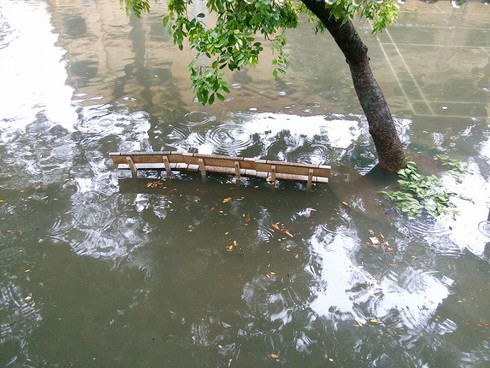 Đại học Thương Mại: Hoãn thi học phần vì ngập nặng - ảnh 5