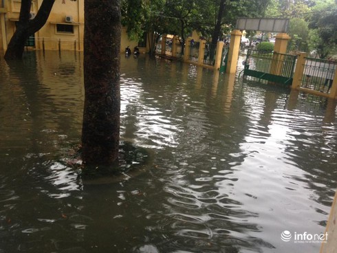 Đại học Thương Mại: Hoãn thi học phần vì ngập nặng - ảnh 3