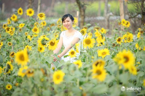 Bí quyết giúp con yêu thích Tiếng Việt và phát triển ngôn ngữ - ảnh 2