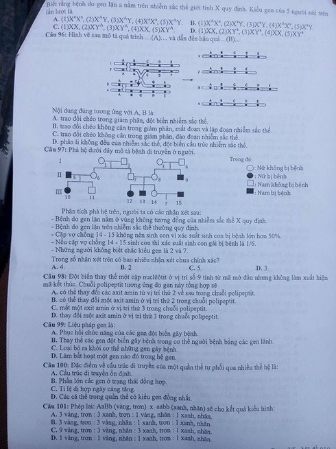 Gợi ý đáp án đề thi thử môn Sinh học THPT quốc gia 2017 tại Hà Nội - ảnh 3