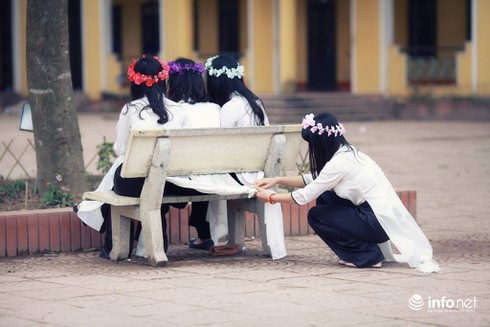 Bộ ảnh kỷ yếu