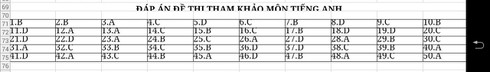 Hướng dẫn giải tất cả các môn đề thi minh họa THPT quốc gia 2017 - ảnh 7