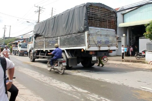 Giật mình vì tiếng còi, bị xe cán tử vong - ảnh 2