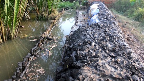 TP.HCM: Triều cường đã “nhấn chìm” 18 tuyến đường tại 12 quận trong 3 ngày - ảnh 3