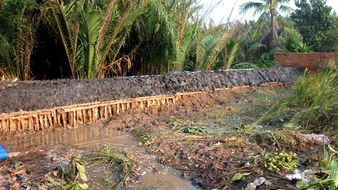 TP.HCM: Triều cường đã “nhấn chìm” 18 tuyến đường tại 12 quận trong 3 ngày - ảnh 2