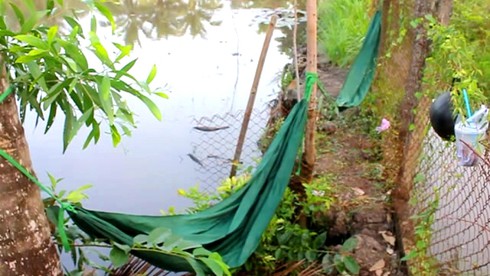 TP.HCM: Triều cường đã “nhấn chìm” 18 tuyến đường tại 12 quận trong 3 ngày - ảnh 8