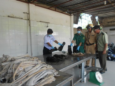 Bắt xe khách chở hổ, gấu con, tay gấu - ảnh 2