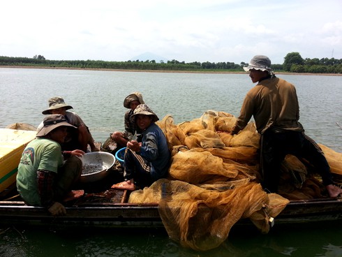 Tận diệt thủy sản tại lòng hồ Dầu Tiếng - ảnh 2