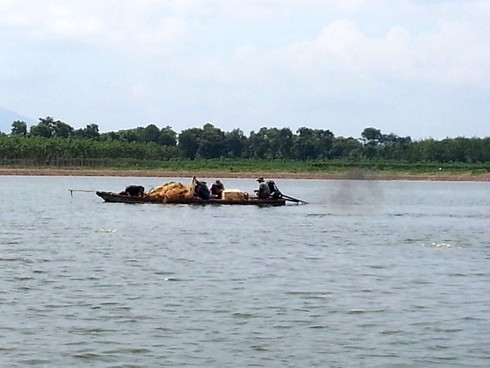 Tận diệt thủy sản tại lòng hồ Dầu Tiếng - ảnh 4