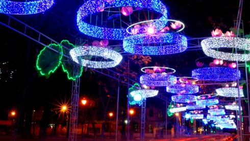 Huyền ảo những cung đường Sài Gòn dịp Tết - ảnh 4
