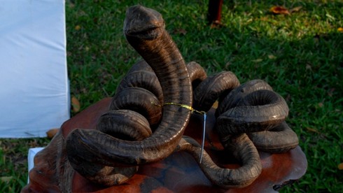 Ngắm những hiện vật tuyệt đẹp Hội hoa lớn nhất Sài Gòn - ảnh 9