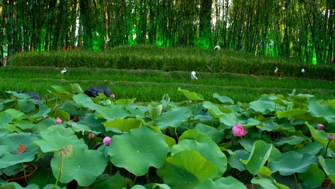 Ngắm những hiện vật tuyệt đẹp Hội hoa lớn nhất Sài Gòn - ảnh 2