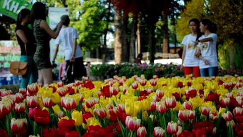 Ngắm những hiện vật tuyệt đẹp Hội hoa lớn nhất Sài Gòn - ảnh 15